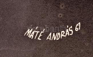 Bánovich Tamás: Ezek a fiatalok. Moziplakát. 60x40 cm