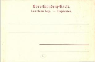 Telegraphen-Transport im Gebirge. K.u.K. Hof-Photogr. A. Huber. Verlag Alex J. Klein Nr. 31. / Az os...