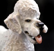 Rosenthal uszkár, kézzel festett, jelzett, hibátlan, m:15 cm, h:17 cm