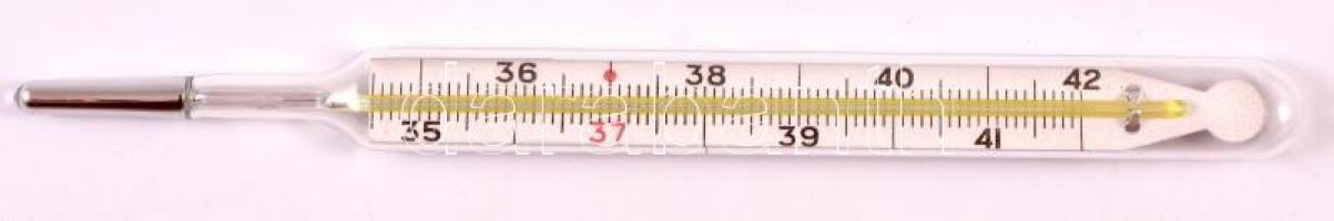 Normalglas higanyos lázmérő, h: 13,5 cm