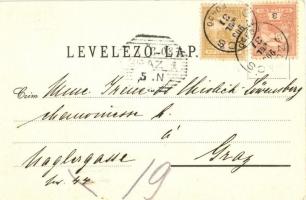 1903 Szliács, Sliac; Radvánszky telep, "Ilona" fényképészeti műterem. Az "Ilona"...