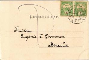 1902 Brassó, Kronstadt, Brasov; Árvaház utcai kapu. Julius Müller's Nachfolger / Weisenhausgäss...