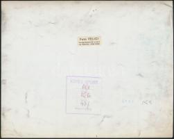 II. János Pál pápa audienciát tart, sajtófotó, a Foto Felici római műterméből, hátulján pecséttel je...