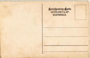 Wien, Vienna, Bécs XVIII. J. Krauss & Comp. K.k. priv. Techn. und Wäscherei Maschinenfabrik. Wäh...