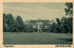 Nagymágocs, Gróf Károlyi kastély. Kiadja Palotás János (EK)