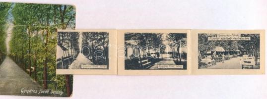 Gyopárosfürdő (Orosháza), Fürdő sétány, leporellólap, benne: villa, fürdőház, községi vendéglő, étte...