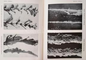 Entz Géza-Sebestyén Olga: A Balaton élete. Bp., 1942, Kir. Magyar Természettudományi Társulat, VIII+...