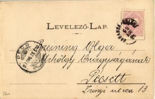 1899 Sellye, Baranya-Sellye; Fő tér, üzletek és lovaskocsik. Rónai Béla kiadása