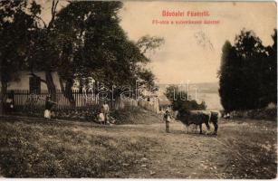 1911 Füzér, Füzérkomlós; Fő utca a szövetkezeti üzlettel