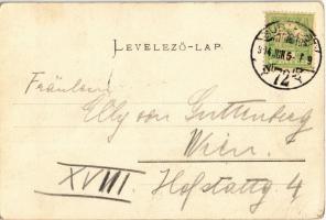 1904 Budapest I. Vár, Szentháromság tér, piac, Walther, Grünwald és Erczherzog üzlete. Ganz Antal 18...