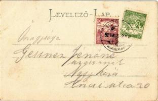 1921 Siófok, Út a gőzhajóhoz, villák. Kiadó tulajdonos Salamon Adolf