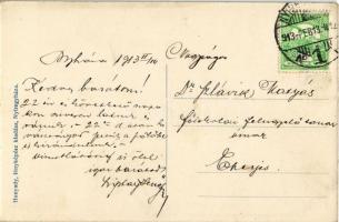 1913 Nyírpazony, Berta szőlőtelep, tó. Hunyady fényképész kiadása