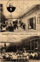 1920 Budakeszi, Martin Lőrinc-féle vendéglő az Erdő utcában, udvar és kerthelyiség, kerekes kút. Paulik Károly kiadása (Rb)