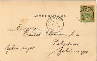 1904 Bicske, Buda-Bicske; gőzmalom. Flakker Sándor kiadása