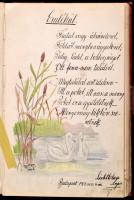 cca 1896-1901 2 db régi emlékkönyv, rajzokkal, illusztrációkkal, érdekes bejegyzésekkel. Sérült vász...