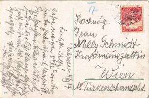 1917 Debrecen, Megyeháza, Arany Angyal gyógyszertár, Magyar Általános Hitelbank, címerfestő üzlete