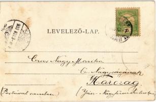 1903 Salgótarján, Zagyvai rakodó, iparvasút. Polacsek  J. kiadása  / industrial railway