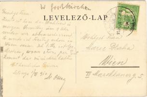 1910 Letenye, Mura hídja és partja