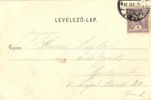 1900 Budapest, Margitszigeti híd (EK)