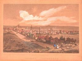 Ludwig Rohbock (1820-1883): Soprony(!) / Oedenburg, színezett acélmetszet, papír, foltos, paszpartuban, üvegezett fa keretben, 14×17,5 cm