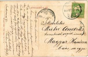 1910 Szekszárd, Szegszárd; Garay tér, Párisi Nagyáruház, tűzifa és szén üzlet, Pirnitzer József és F...