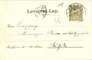 1903 Pécs, Zsolnay gyárak. Kiadja Blancz József (EK)