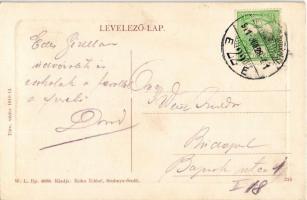 1911 Stubnyafürdő, Túróchévíz, Stubnianske Teplice, Turcianske Teplice; park. W.L. Bp. 4858. Kiadja ...