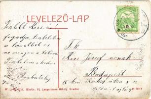 1911 Svedlér, Svedlár; Evangélikus templom, utca. W.L. Bp. 2717. Kiadja Ifj. Langermann Mihály / chu...