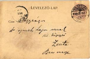 1899 Kolozsvár, Cluj; Alsózsuk, Zsuk, Jucu de Sus; Az Erdélyi falka-vadász társaság Alsó-Zsukki tele...