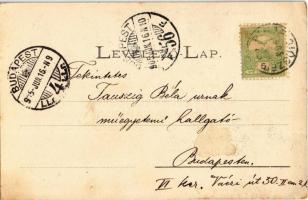 1905 Bihardiószeg, Diosig; Kossuth utca, M. kir. Vincellér iskola, Gróf Zichy-féle kastély, Weisz-fé...