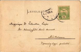 1902 Nagydisznód, Heltau, Cisnadie; Vártemplom. G.A. Seraphin v. Jos. Drotleff / Kirchen-Kastell / c...
