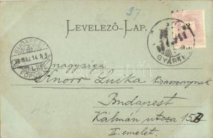 1898 Diósgyőr (Miskolc), vár. Kiadja Ferenczi B. (EK)