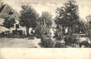 1912 Litke, Coburg hercegi tiszti lak, kúria. Kiadja a Fogyasztási Szövetkezet (fl)