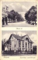 Polgárdi, Beton út, Ipartelepi vasútállomás, létra (Rb)