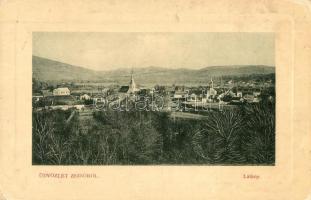1912 Zsibó, Jibou; látkép, templomok. W. L. Bp. 6076. / general view with churches (EK)