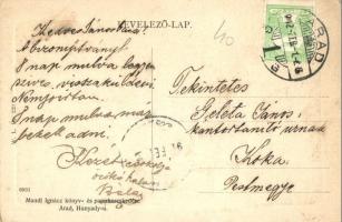 1912 Arad, Vértanú szobor, mögötte Schwarz üzlete, szappan és gyertyagyár. W. L. Bp. 228. Kiadja Man...