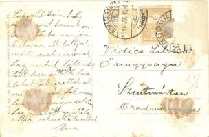 1914 Boksánbánya, Németbogsán, Bocsa; Bründl vízesés. W. L. Bp. 116. / Bründl Wasserfall / waterfall...