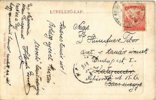 1919 Nagyszentmiklós, Sannicolau Mare; Gróf Nákó Sándor kastély park részlete. W.L. Bp. 6708. / cast...