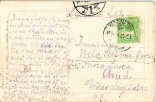 1914 Boksánbánya, Németbogsán, Bocsa; Bründl vízesés. W.L. Bp. 117. / waterfall