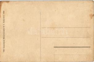 Szászváros, Broos, Orastie; utcakép, Szászvárosi Könyvnyomda rt., könyv és papírkereskedése és saját...