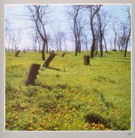 Műemlékek Borsod-Abaúj-Zemplén megyében. Szerk.: Dobrik István et al. Miskolc, 1987, Herman Ottó Múz...