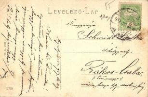 1909 Gyertyámos, Gertianosch, Gertiamos, Carpinis; Gemeindehaus / Községháza. W. L. 1400. / town hal...