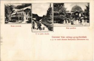 Visk, Várhegy-gyógyfürdő, Vyshkovo (Máramaros); Ilona csarnok, út és park, zene pavilon / hall, street, park, music pavilion