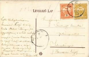 Visk, Várhegy-gyógyfürdő, Vyshkovo (Máramaros); Ilona csarnok, út és park, zene pavilon / hall, stre...