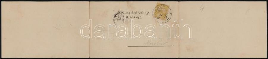 1901 Segesvár, Schässburg, Sighisoara; Iparosegylet székháza, gimnázium, templomok, Albert-ház (fiú ...