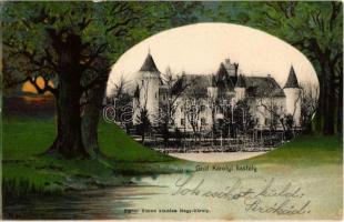 1901 Nagykároly, Carei; Gróf Károlyi kastély. Eigner Simon kiadása, Erdős litho keret / castle. forest litho frame (fl)