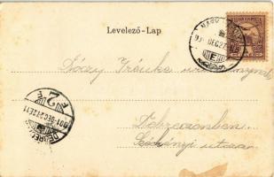 1901 Nagykároly, Carei; Gróf Károlyi kastély. Eigner Simon kiadása, Erdős litho keret  / castle. for...