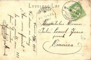 1909 Boksánbánya, Németbogsán, Bocsa; Vasziovai községháza. W. L. 1126. / Vasziovaer Gemeindehaus / ...