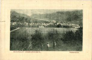 1912 Zsarnóca, Zarnovica; Madártávlat. W. L. (?) 351. / general view (EK)