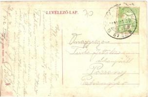 1912 Zsarnóca, Zarnovica; Madártávlat. W. L. (?) 351. / general view (EK)